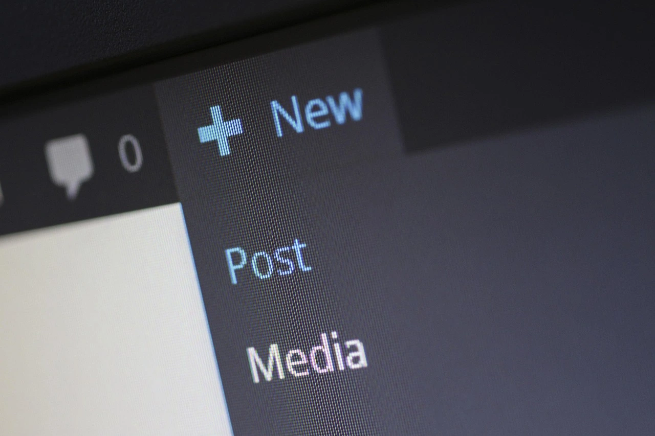 How can I create a professional blog using WordPress?
